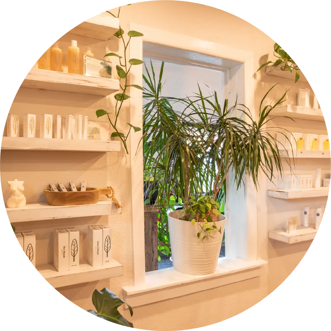 Gift Cards Wax & Lash studio shelves for gift cards