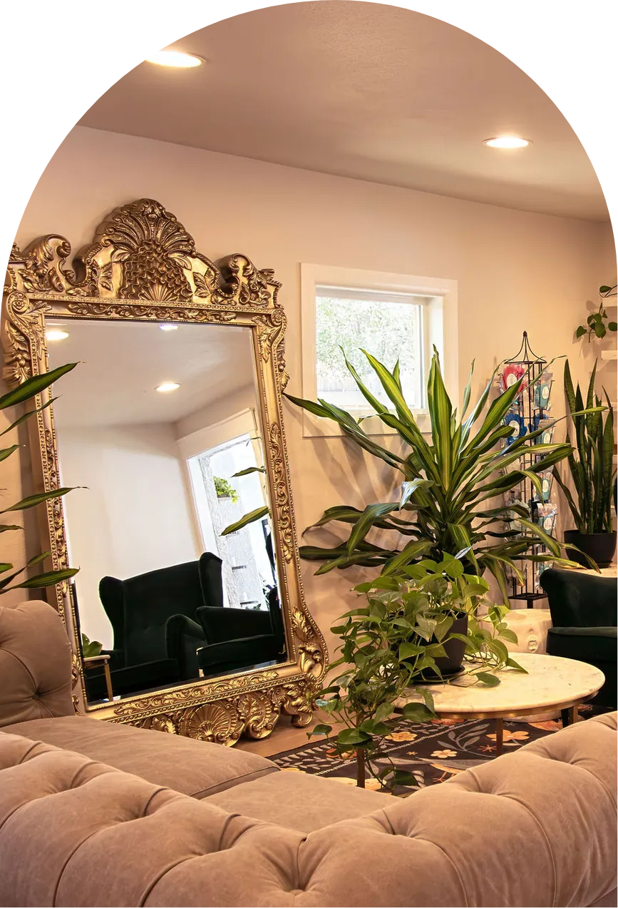 The lounge at Wax &amp; Lash Berkeley with a gilded mirror, velvet chairs, and tall green plants