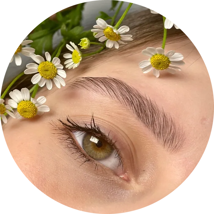 A laminated, brushed up brow framed by daisies